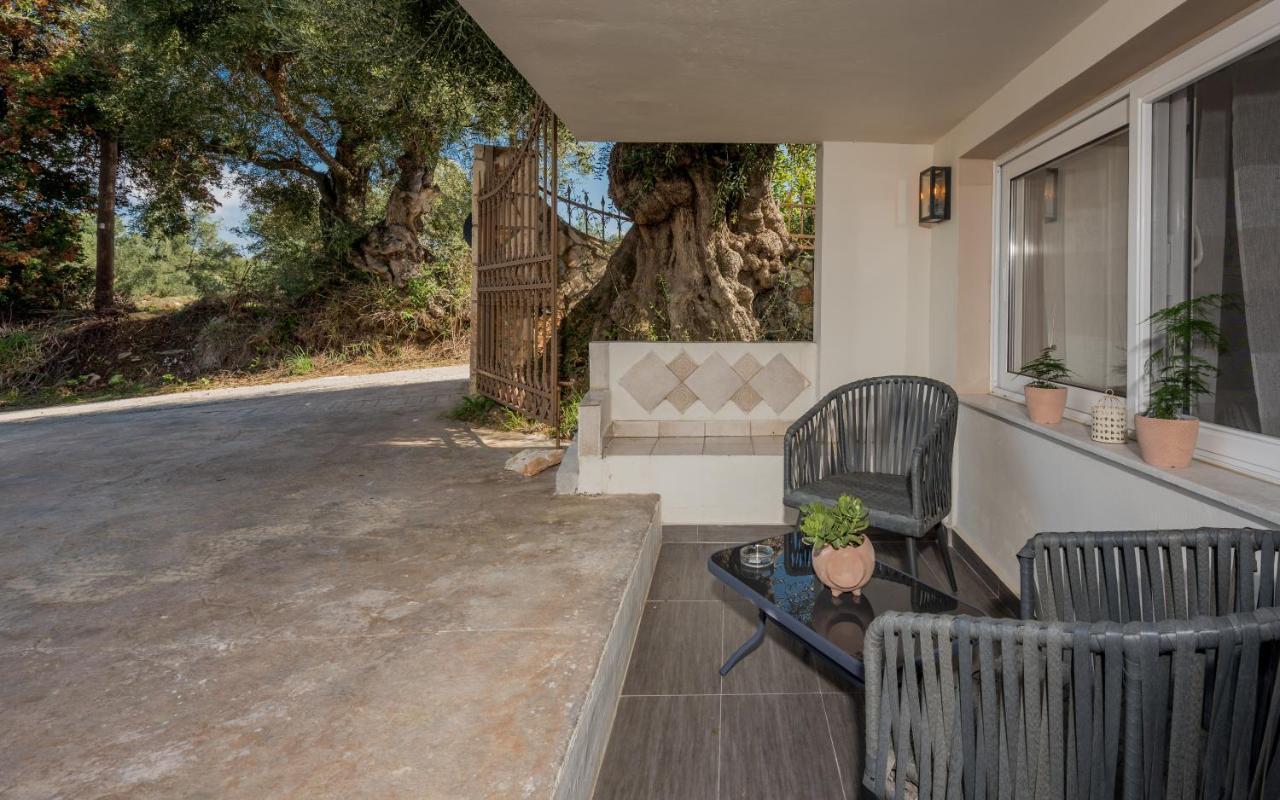 Asante Group Holiday Homes Tsilivi  Exteriör bild